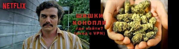 крисы Дмитров