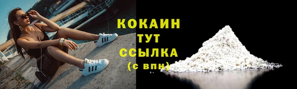 дурь Дмитриев