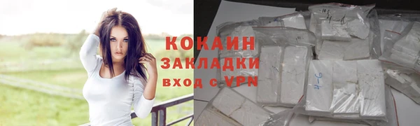 дурь Дмитриев