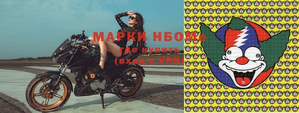 крисы Дмитров