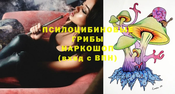 крисы Дмитров