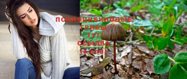 дурь Дмитриев