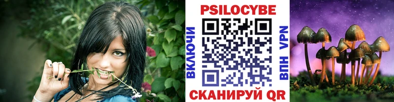 Купить закладки  Чапаевск  Галлюциногенные грибы мицелий 
